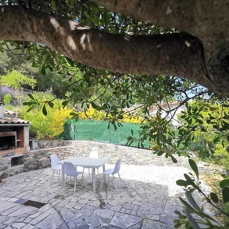 Bas De Villa Au Calme Villeneuve-Loubet Luaran gambar